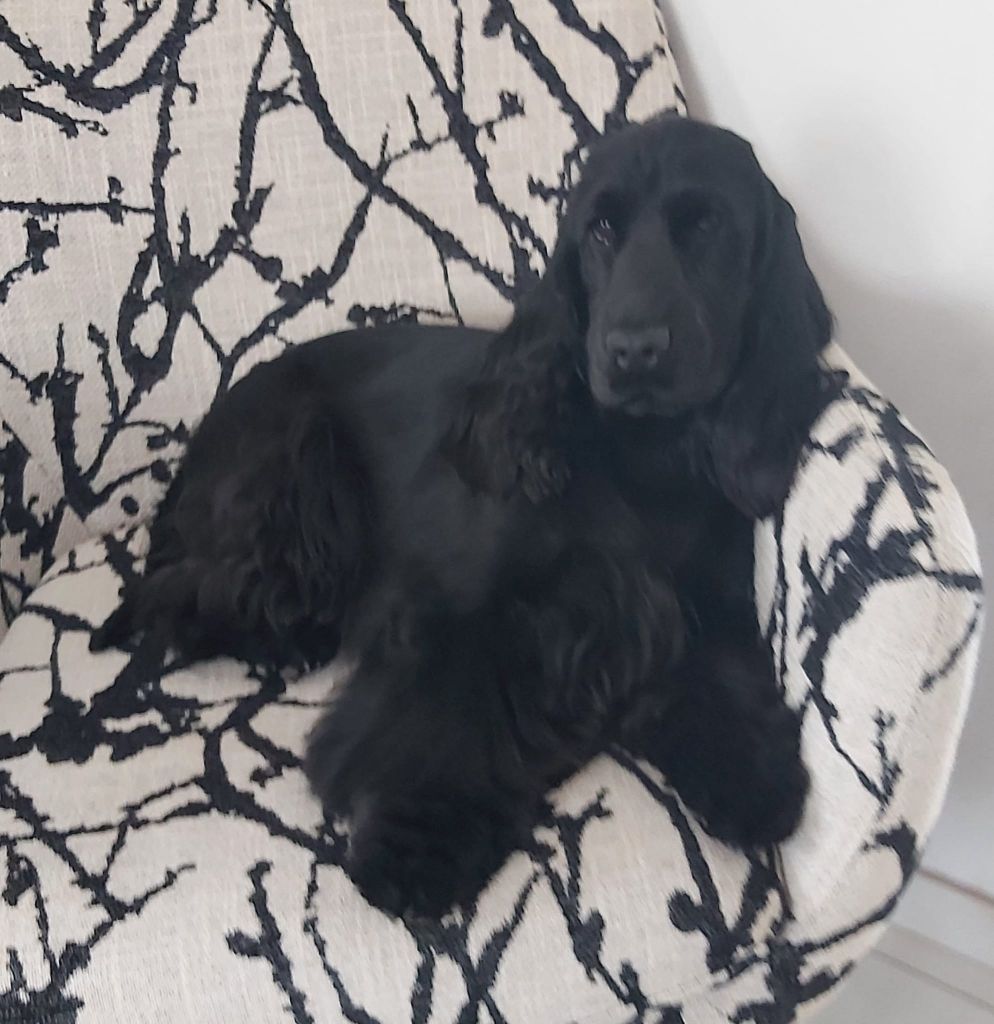 Sweety so love suzy Of Crazy Years