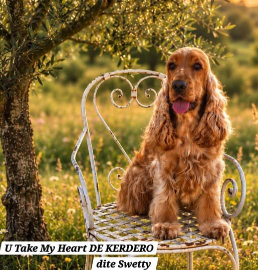 U take my heart dite sweety de kerdero