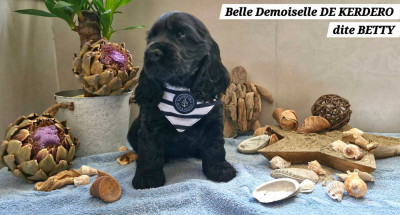 Belle Demoiselle DE KERDERO dite BETTY